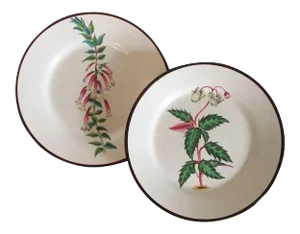 Early 19th Century English Creamware Botanical Plates with Named Flower Specimens - A Pair