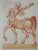 Salvador dali (1904-1989)divine comedy, hell 25, the centaur, 1963woodcutunsignedon bfk rives vellum 32.8 x 26.4...