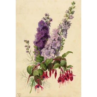 E.B.R., Delphiniums & Fuchsia Flower, 1842, Watercolour Painting For Sale