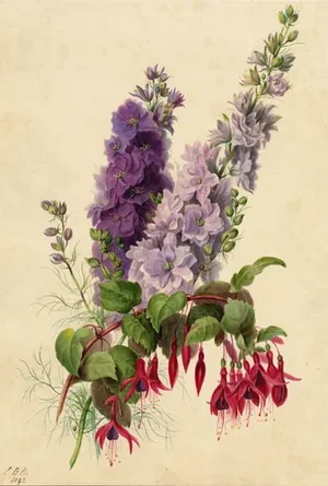 E.B.R., Delphiniums & Fuchsia Flower, 1842, Watercolour Painting