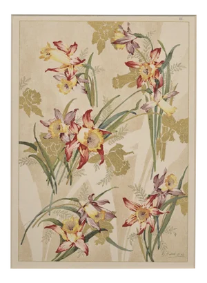 C 1900 Art Nouveau Botanical Design Chromolithograph-Daffodil, Matted