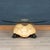 Vintage English Turtle Shaped Coffee Table from Anthony Redmile, 1970s For Sale - Image 13 of 16