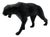 Black Resin Panther Spirit from Richard Orlinski For Sale