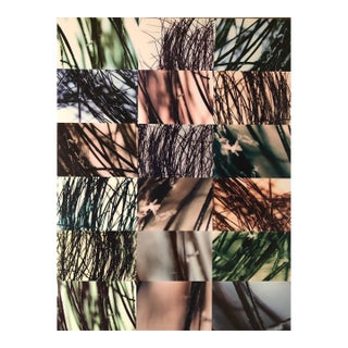 Ken Gonzales-Day, Untitled Dysmorphologies Series (Hair Magnification in Grid) Mounted to Aluminum For Sale