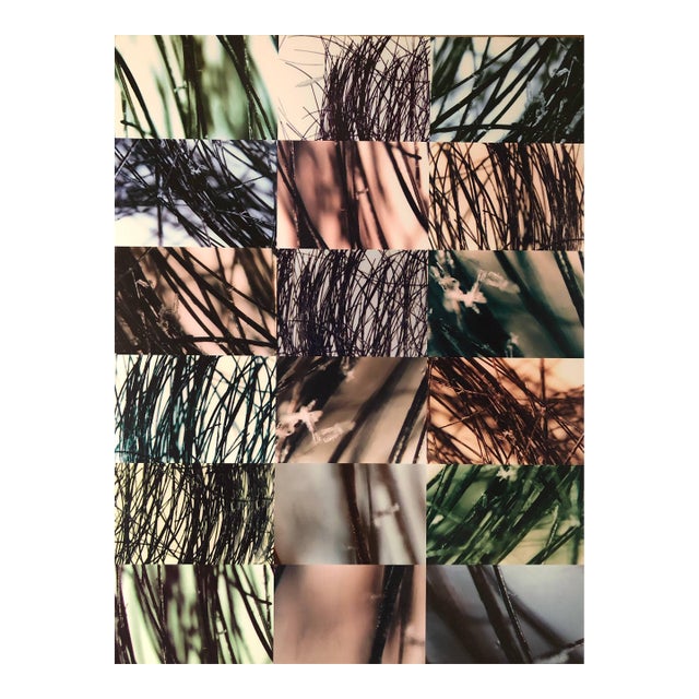 Ken Gonzales-Day, Untitled Dysmorphologies Series (Hair Magnification in Grid) Mounted to Aluminum For Sale