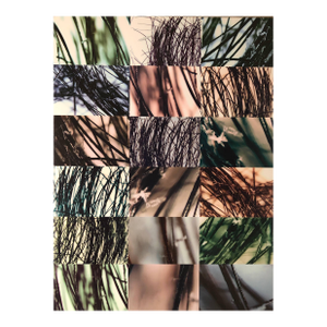 Ken Gonzales-Day, Untitled Dysmorphologies Series (Hair Magnification in Grid) Mounted to Aluminum