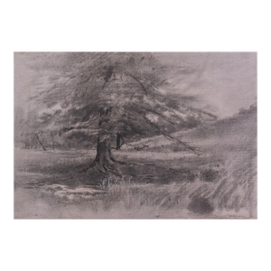 'Mighty Oak' by Arthur B. Davies, New York Armory Show, Ashcan School, NYMoMA, Art Institute of Chicago, Los Angeles County Museum of Art