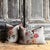 Textile French Linen Lumbar Pillow Cover – Imperial Bouquet For Sale - Image 7 of 7