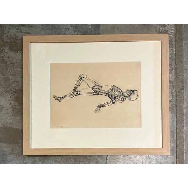 Contemporary Vintage Framed Reclining Skeleton Study on Paper For Sale - Image 3 of 12