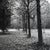Paul Cooklin, Thornham Walks, Edition of 50 For Sale - Image 4 of 4