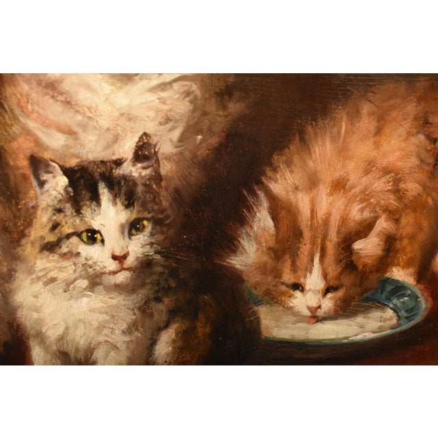 Jules Gustave Le Roy, Cats Portrait Painting, 1800, Oil Painting on Wood For Sale - Image 5 of 11