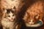Jules Gustave Le Roy, Cats Portrait Painting, 1800, Oil Painting on Wood For Sale - Image 5 of 11