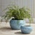 100% realistic a perfect copy of your favorite maidenhair fern. These dropins are nohassle works of art. Right down to the...