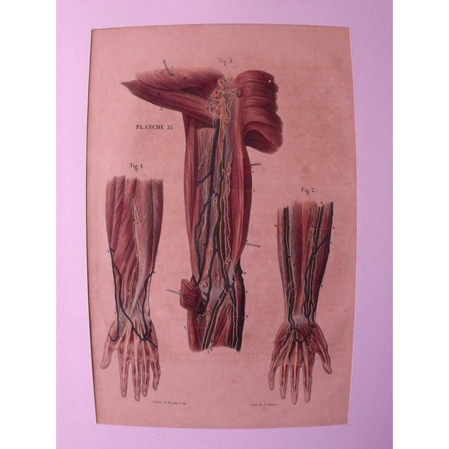 DC Gallet, 10 The Body of Man by Dr. Galet, 1841, Lithographs For Sale - Image 11 of 11