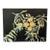 Mid Century American Oil Painting of Peaches on a Black Ground, Signed For Sale