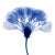 Abstract Blue Botanical Limited Edition Fine Art Print No. 5 | Organic Modern For Sale