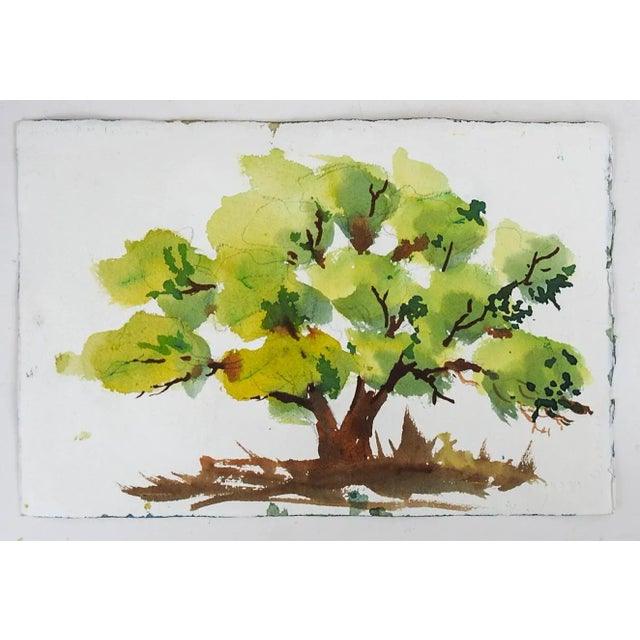 English Late 20th Century Impressionist Floral Daisy Watercolor Painting For Sale - Image 3 of 4