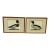 Jan Christian Sepp Merganser Duck Engraving Reproductions, Pair For Sale