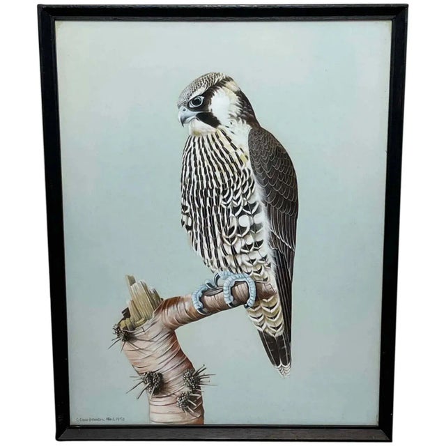 Vintage Original British Gouache Watercolor Peregrine Falcon by David Johnston For Sale - Image 12 of 12