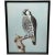 Vintage Original British Gouache Watercolor Peregrine Falcon by David Johnston For Sale - Image 12 of 12