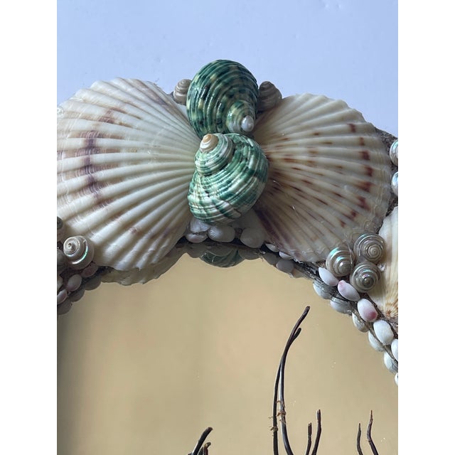 Coastal Mid 20 Th C Sea Shell Oval Mirror For Sale - Image 3 of 5
