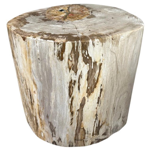 2010s Andrianna Shamaris Impressive Large Petrified Wood Side Table For Sale - Image 5 of 18