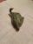 2000s Signed Inuit Carved Soapstone Bird Figurine For Sale - Image 4 of 12