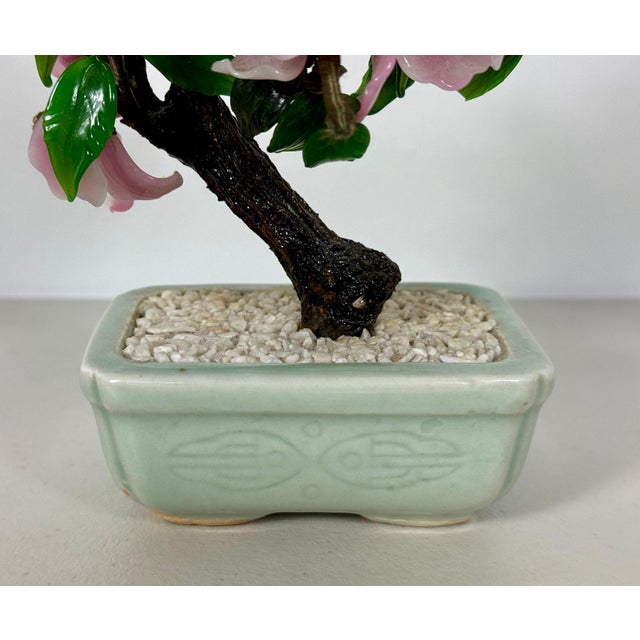 Vintage Mid-Century Flowering "Jade Tree" in Footed Celadon Pot - 10" For Sale - Image 13 of 16