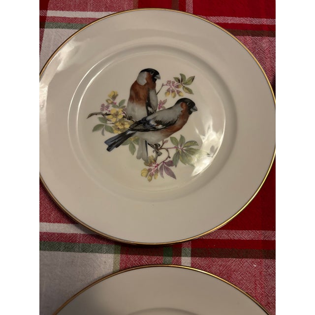 Mid Century Jkw Western Germany Porcelain Song Bird Plates, Set of 6 For Sale - Image 11 of 12