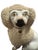 Ceramic Antique 19th Century English Staffordsire Ceramic Poodle For Sale - Image 7 of 12
