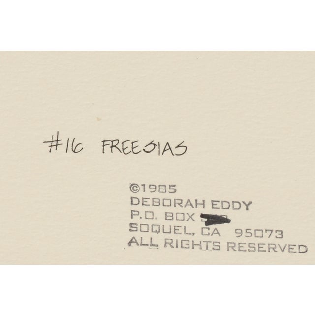 Freesia - Botanical Study by Deborah Eddy For Sale In Monterey, CA - Image 6 of 7