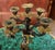 Pair of 19th Century French Napoleon III Bronze Figural Candelabras For Sale - Image 15 of 18