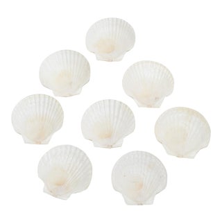 Clamshell Serving Plates- Set of 8 For Sale