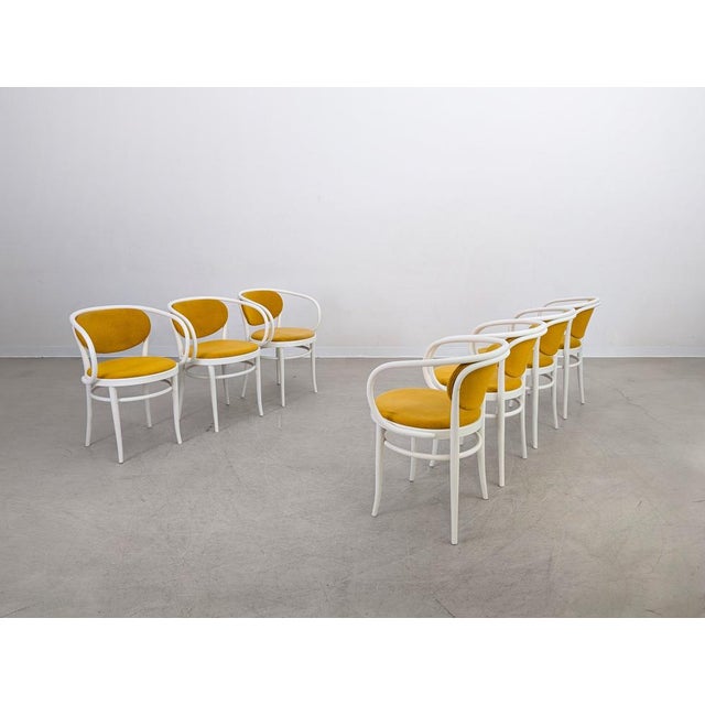 Mid-Century Modern Vintage 210 P Chairs in Bentwood from Thonet, 1960s, Set of 7 For Sale - Image 3 of 16