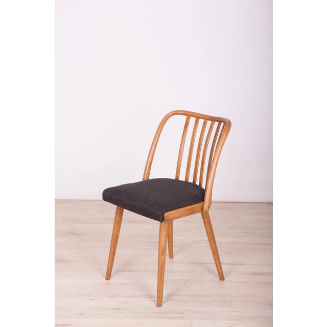 Dining Chairs by Antonín Šuman for TON, 1960s, Set of 4 For Sale - Image 10 of 14