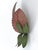 Mid-Century Double Leaf Floral Sconce by Holländer Leuchten, Germany, 1970s For Sale - Image 16 of 18
