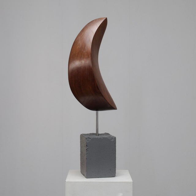 Wood Ineke Van Zuuren, Organic Abstract, 1980s, Concrete & Teak For Sale - Image 7 of 10