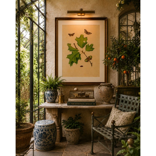 Oak Leaf & Acorn Study With Moths, 1797 Vintage Art Print Reproduction, 32" X 48" For Sale - Image 10 of 12