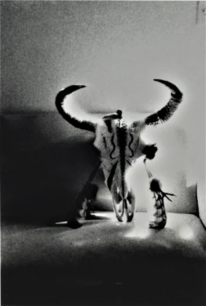 Michael Andreas Russ, Bull's Skull, Circa 1980