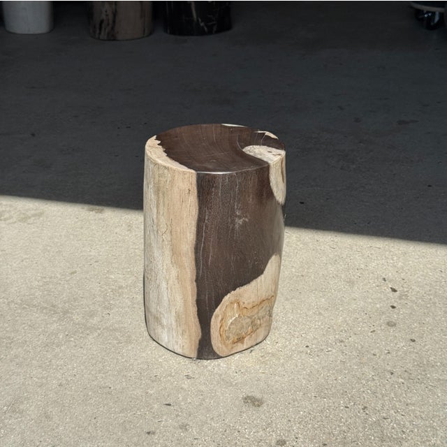 Contemporary Small Side Table in Black and White Petrified Wood, 1980s For Sale - Image 3 of 18
