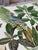 A charming vintage spindle side table, custom painted and finished with vibrant tropical decoupage featuring lush...