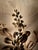 Hollywood Regency Wall Sconce by Hans Kögl, 1990s For Sale - Image 10 of 13