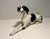 Vintage U.S.S.R. Period Lomonosov LFZ English Pointer Dog Porcelain Figurine Aprox. dimensions: 12"L x 6"H Very good...