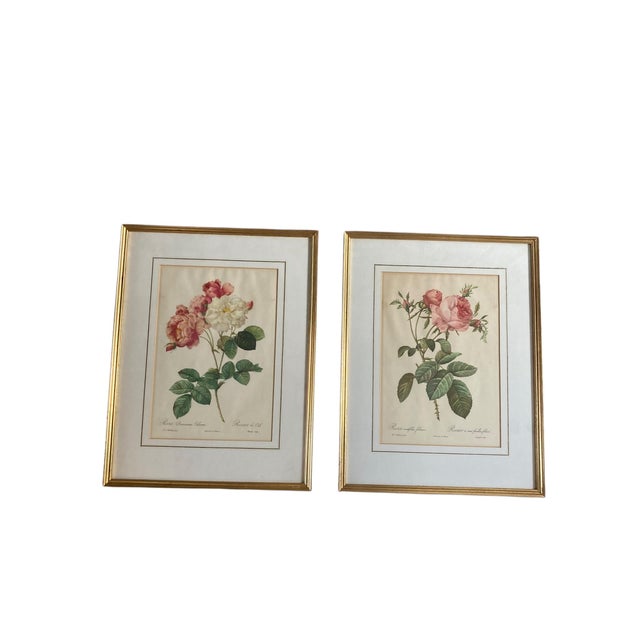Glass Pierre Joseph Redoute, Botanical Prints, 1929, Glass, Framed, Set of 2 For Sale - Image 7 of 7