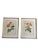 Glass Pierre Joseph Redoute, Botanical Prints, 1929, Glass, Framed, Set of 2 For Sale - Image 7 of 7