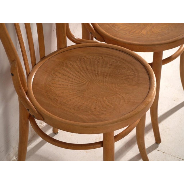 Early 20th Century Bentwood Chairs in the style of Thonet, Central Europe, 1930, Set of 4 For Sale - Image 5 of 15