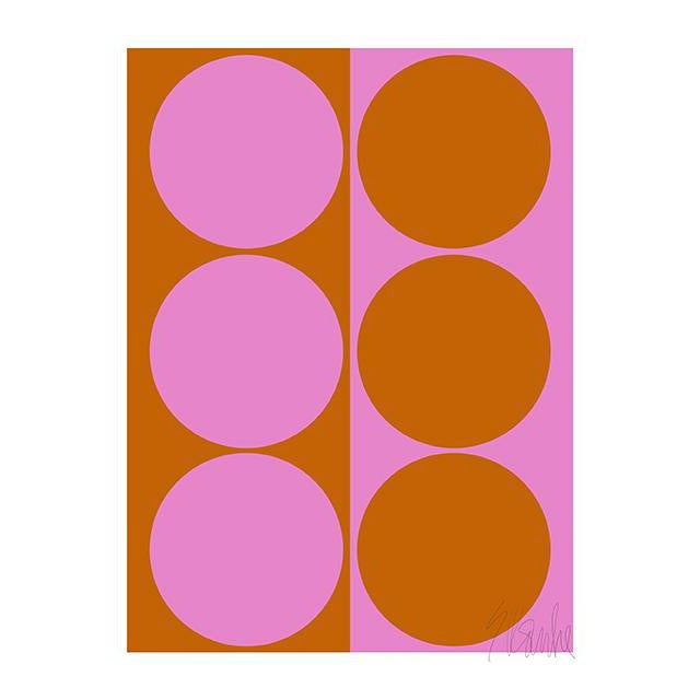 Dynamic Pair Pink and Amber Fine Art Print 14" X 20" by Liz Roache For Sale