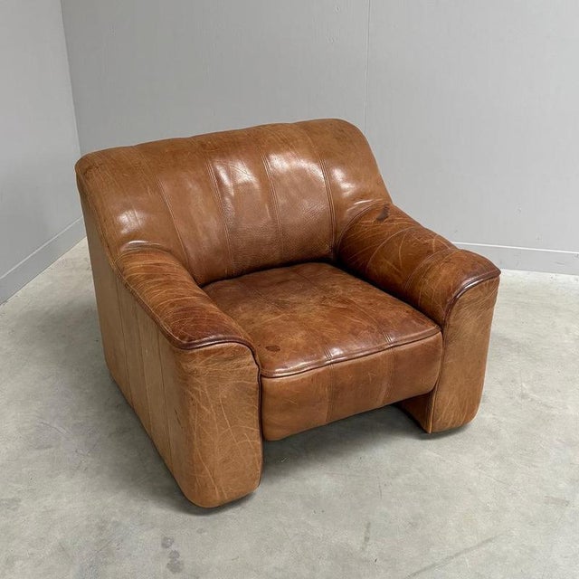Vintage DS44 Lounge Chair from de Sede, 1970s For Sale - Image 6 of 15