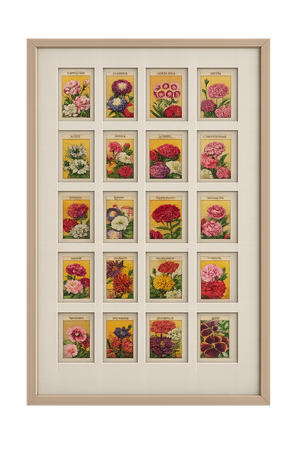 Collection of 20 Authentic French Seed Packet Labels, C. 1930, Custom Framed Decorative Wall Art