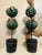 These are a pair of decorative topiary-style sculptures. Each piece features two stacked, spherical clusters of stylized,...
